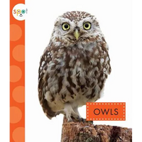 Owls - Paperback