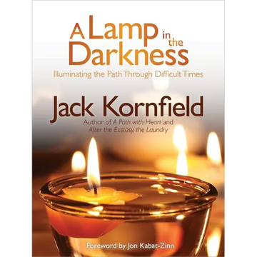 A Lamp in the Darkness - Paperback