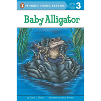Baby Alligator - Paperback