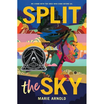 Split the Sky (Coretta Scott King Author Honor Title) - Hardcover