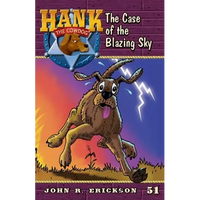 The Case of the Blazing Sky - Paperback