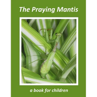 The Praying Mantis - a book for children: The tiny hunter - Paperback
