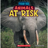 Animals at Risk (Wild World: Top 10) - Paperback