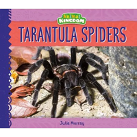 Tarantula Spiders - Library Binding