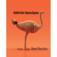 Addiction Apocalypse: Poems Volume 46 - Paperback