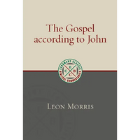 The Gospel according to John - Paperback