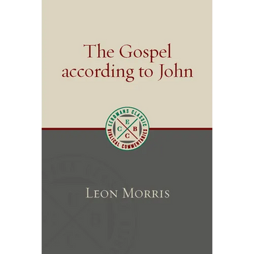 The Gospel according to John - Paperback