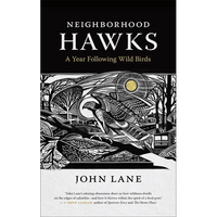 Neighborhood Hawks: A Year Following Wild Birds - Paperback