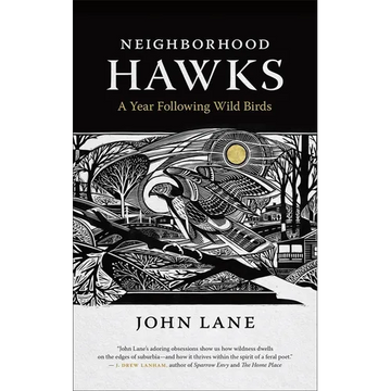 Neighborhood Hawks: A Year Following Wild Birds - Paperback