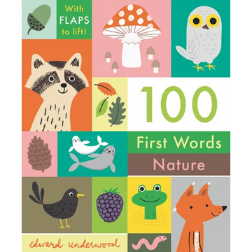 100 First Words: Nature: With Flaps to Lift - Board Book