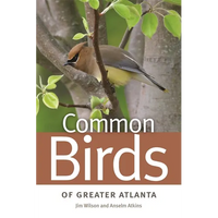 Common Birds of Greater Atlanta - Paperback