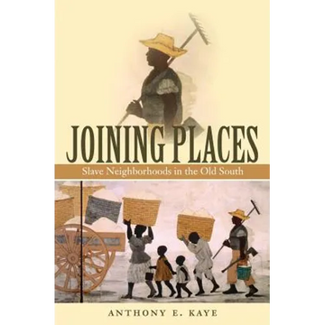 Joining Places: Slave Neighborhoods in the Old South - Paperback