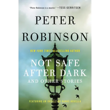 Not Safe After Dark: And Other Stories - Paperback