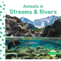 Animals in Streams & Rivers - Library Binding