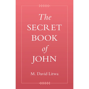 The Secret Book of John - Paperback