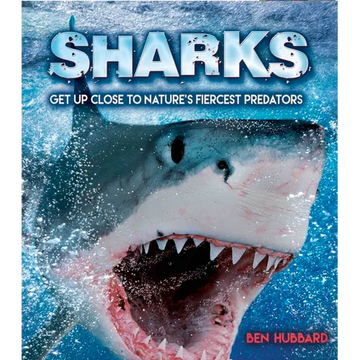 Sharks: Get Up Close to Nature's Fiercest Predators - Paperback