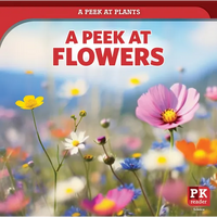A Peek at Flowers - Paperback