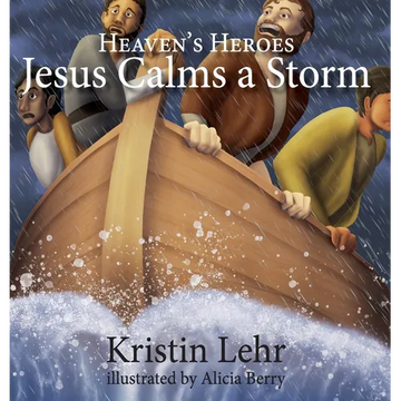 Jesus Calms a Storm - Hardcover