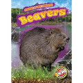 Beavers