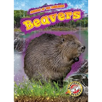 Beavers - Library Binding
