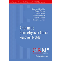 Arithmetic Geometry Over Global Function Fields - Paperback
