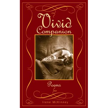 Vivid Companion - Paperback