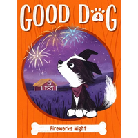 Fireworks Night - Paperback