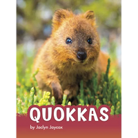 Quokkas - Hardcover