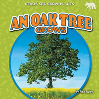 An Oak Tree Grows - Paperback