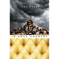In Envy Country - Paperback