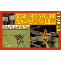 Stokes Beginner's Guide to Dragonflies - Paperback