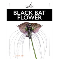 Black Bat Flower - Library Binding