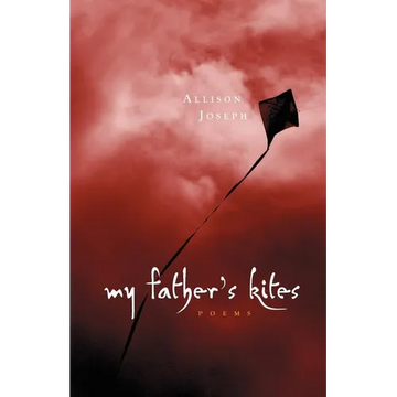 My Father's Kites - Paperback
