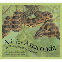 A is for Anaconda: A Rainforest Alphabet - Hardcover