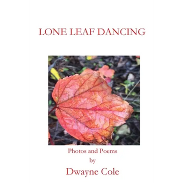 Lone Leaf Dancing - Paperback