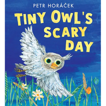 Tiny Owl's Scary Day - Hardcover