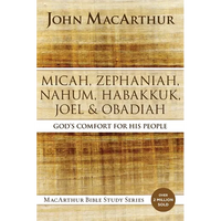 Micah, Zephaniah, Nahum, Habakkuk, Joel, and Obadiah: God's Comfort for His People - Paperback