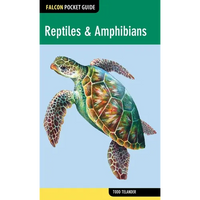 Reptiles & Amphibians - Paperback