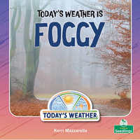 Today's Weather Is Foggy - Paperback