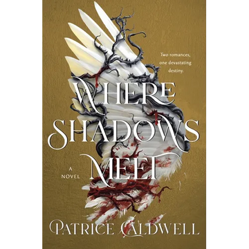 Where Shadows Meet - Hardcover