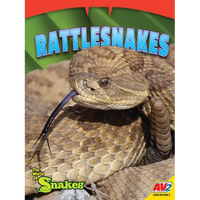 Rattlesnakes - Paperback