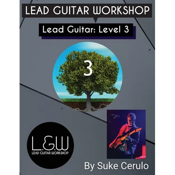 Lead Guitar Level 3 - Paperback