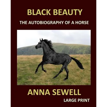 BLACK BEAUTY ANNA SEWELL Large Print: The autobiography of a horse - Paperback