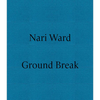 Nari Ward: Ground Break - Paperback