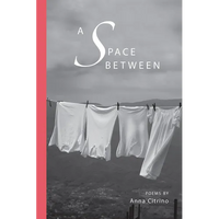 A Space Between - Paperback