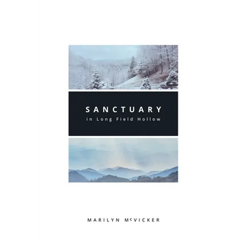 Sanctuary in Long Field Hollow - Paperback