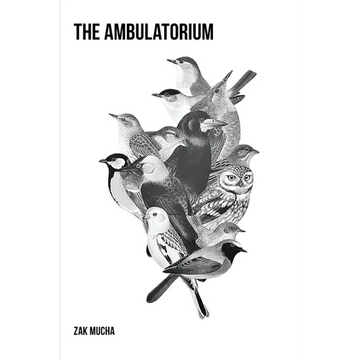 The Ambulatorium - Paperback