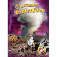 Tornadoes - Library Binding