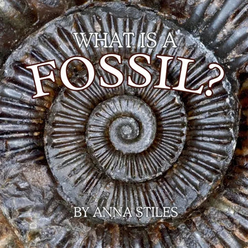 What is a Fossil? - Paperback