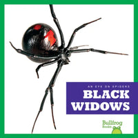 Black Widows - Library Binding